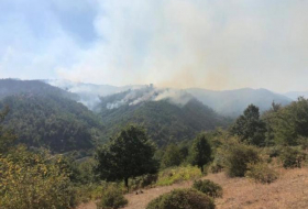 МЭПР: Распространение пожара в Гирканском нацпарке предотвращено