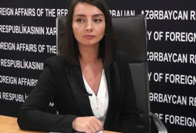 Лейла Абдуллаева: Слова и поступки армян противоречат мирному разрешения карабахского конфликта