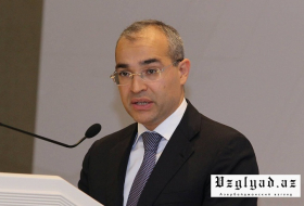 Министр экономики: Прошлый год был крайне успешным для граждан Азербайджана