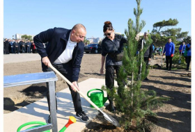 Ильхам Алиев и Мехрибан Алиева  приняли участие в акции по посадке деревьев в Хатаи - ФОТО