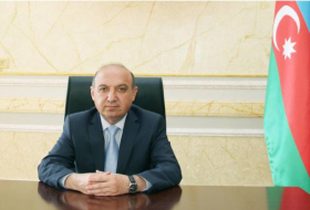 Сиявуш Гейдаров: Среди казненных в зонах конфликтов были и азербайджанки
