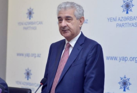 Али Ахмедов: Предвзятая позиция ПАСЕ в отношении Азербайджана - уже не нова