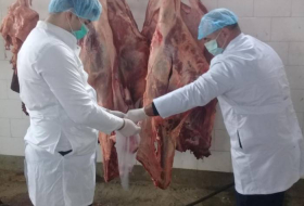 В Сумгайыте уничтожены сотни килограмм непригодной говядины - ФОТО
