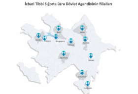 В Азербайджане функционирует три филиала Госагентства по ОМС
