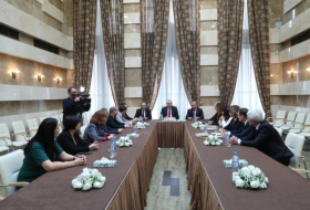 Мазахир Панахов встретился с представителями стран-наблюдателей за муниципальными выборами в Азербайджане