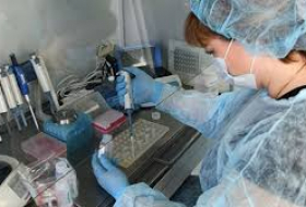 Ученые из девяти стран осудили слухи о происхождении коронавируса
