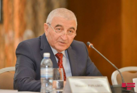 Мазахир Панахов: Не справляющиеся с обязанностями будут наказаны
