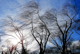 Самый сильный ветер зафиксирован в Маштаге, а наибольшее количество осадков - в Лянкяране
