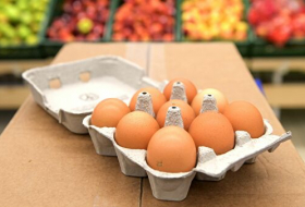 Медики выяснили, сколько яиц можно съедать без вреда для здоровья
