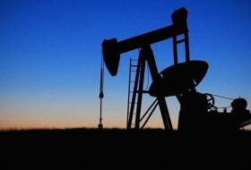 Цена нефти марки Brent поднялась до $ 45,75
