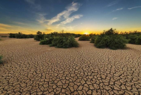 Прогноз ученых: миру грозит катастрофическая засуха
