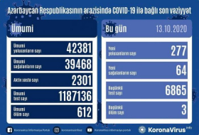 В Азербайджане выявлено 277 новых случаев инфицирования коронавирусом
