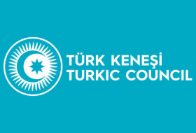Тюркский совет требует немедленного вывода ВС Армении со всех оккупированных территорий Азербайджана - заявление
