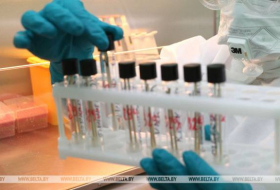 Более 427 тыс. новых случаев заражения коронавирусом зафиксировано в мире за сутки
