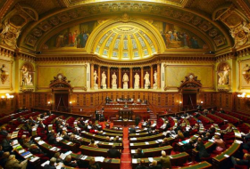 Действия Сената Франции нарушают все принципы внешней политики официального Парижа