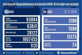 В Азербайджане выявлено еще 3196 случаев заражения коронавирусом, 1598 человек вылечились
