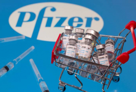 Pfizer одобрила поставку 800 тыс. доз вакцины от коронавируса Северной Македонии