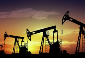 ОПЕК ожидает в 2021 году роста спроса на нефть против падения в 2020-м