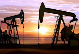 Цена барреля нефти марки Brent превысила $56