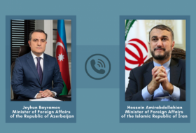 Глава МИД Азербайджана обсудил ситуацию в регионе с иранским коллегой