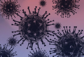 Ученые смогли выявить уникальную реакцию иммунитета на COVID