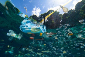 В Средиземном море отследили тысячи тонн пластикового мусора
