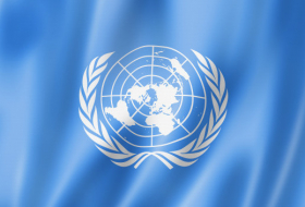Омар Султанов назначен Постоянным представителем КР при ООН в Женеве