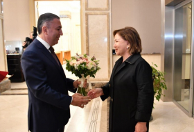 Вице-спикер парламента Казахстана прибыла в Азербайджан