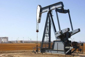 Казахстан будет добывать по 1,860 млн баррелей нефти в сутки в рамках ОПЕК+
