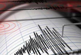 В Узбекистане ощущали землетрясение силой 2-3 балла, произошедшее в Афганистане
