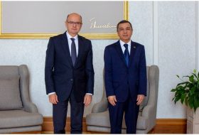 Азербайджан и Туркменистан обсудили сотрудничество в энергетической сфере
