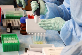 Япония решила тестировать на коронавирус въезжающих в страну из Китая
