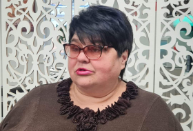 Татьяна Полоскова: «Армения ведет гибридную войну, вероломно нарушив договоренности»