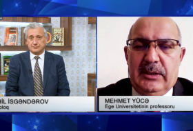 «Диаспоры тюркских народов должны объединить свою деятельность» - Мехмет Юдже (Интервью + Видео)
