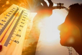 В ВОЗ предупреждают о повышенной нагрузке на систему здравоохранения из-за жары
