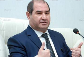 Мубариз Ахмедоглу: Необходимо защитить карабахских армян от игр Армении 