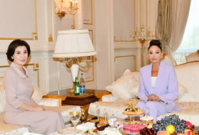 Мехрибан Алиева встретилась с первой леди Узбекистана -ФОТО
