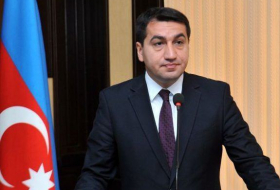 Помощник Президента Азербайджана разоблачил анти-азербайджанский доклад скандального экс-прокурора МУС