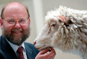 Умер генетик Иэн Уилмут — автор эксперимента по клонированию овечки Долли
