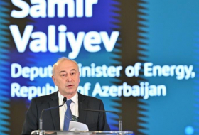 Азербайджан рассчитывает добыть значительные объемы газа на Каспии к 2028 году
