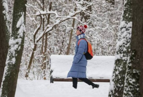 В Кыргызстане из-за морозов школы переведены на дистанционное обучение
