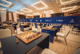 Азербайджанские шахматисты ждут старта на ЧМ
