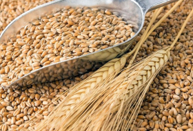 Импорт пшеницы в Азербайджан освобожден от НДС еще на 3 года
