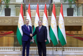 Главы МИД Турции и Таджикистана подписали программу сотрудничества на 2024-2026 годы
