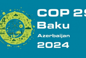 ЕС рассчитывает на сотрудничество с Азербайджаном для успеха COP29