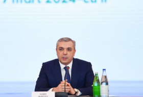 Самир Нуриев: ООН положительно оценила уровень подготовки Азербайджана к COP29
