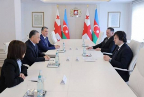 Премьер-министр Грузии поблагодарил Азербайджан
