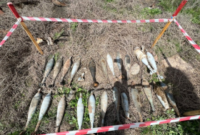 В Губадлы обнаружены боеприпасы