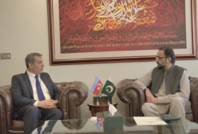 Азербайджан и Пакистан обсудили сотрудничество в сфере занятости и социальной защиты.