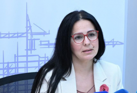 Азербайджан изучит опыт Италии в строительном секторе